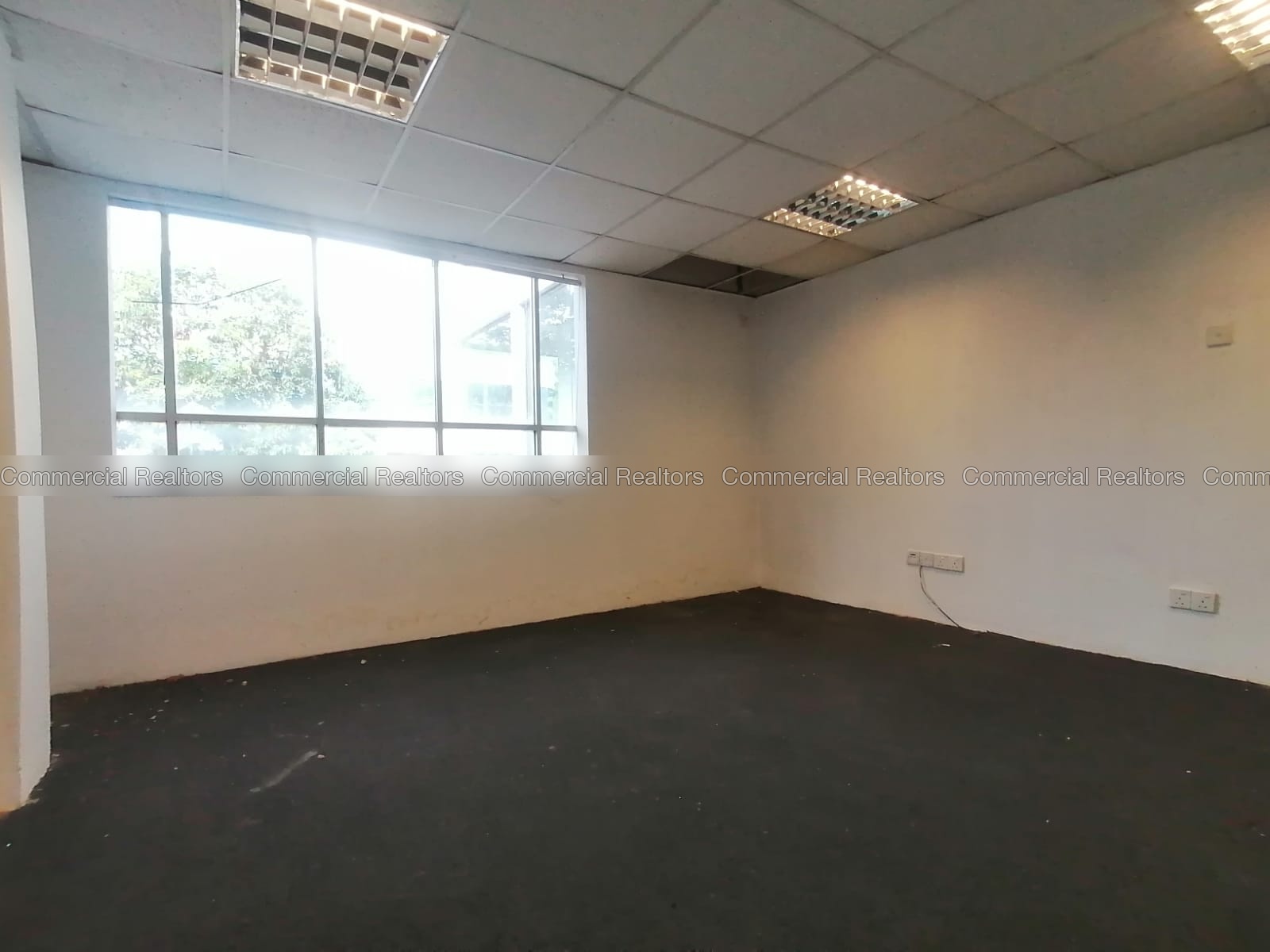 Commercial Building for Rent in Colombo 05 - Image 4